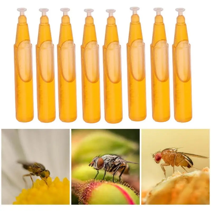 10Pcs Fruit Fly Attractant 2ml Trap Bait Beekeeping Beehiv Tool Killer Orchard Insect-Repellen Supplies Trapping Tool 2022 New
10Pcs Fruit Fly Attractant 2ml Trap Bait Beekeeping Beehiv Tool Killer Orchard Insect-Repellen Supplies Trapping Tool 2022 New