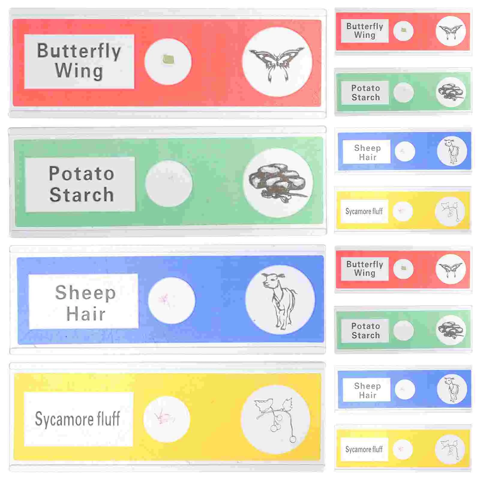 12 Pcs Microscope Slide Slides Specimens Aldult Kids Science Classroom Must Haves Pvc Prepared
12 Pcs Microscope Slide Slides Specimens Aldult Kids Science Classroom Must Haves Pvc Prepared