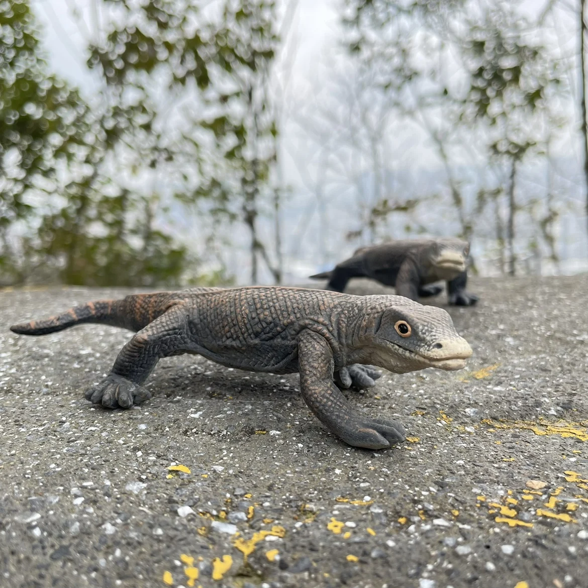 Genuine Children's Cognitive Simulation Lizard Komodo Dragon Monitor Lizard Reptile Model Toy Static Animal Figure Model Toys
Genuine Children's Cognitive Simulation Lizard Komodo Dragon Monitor Lizard Reptile Model Toy Static Animal Figure Model Toys