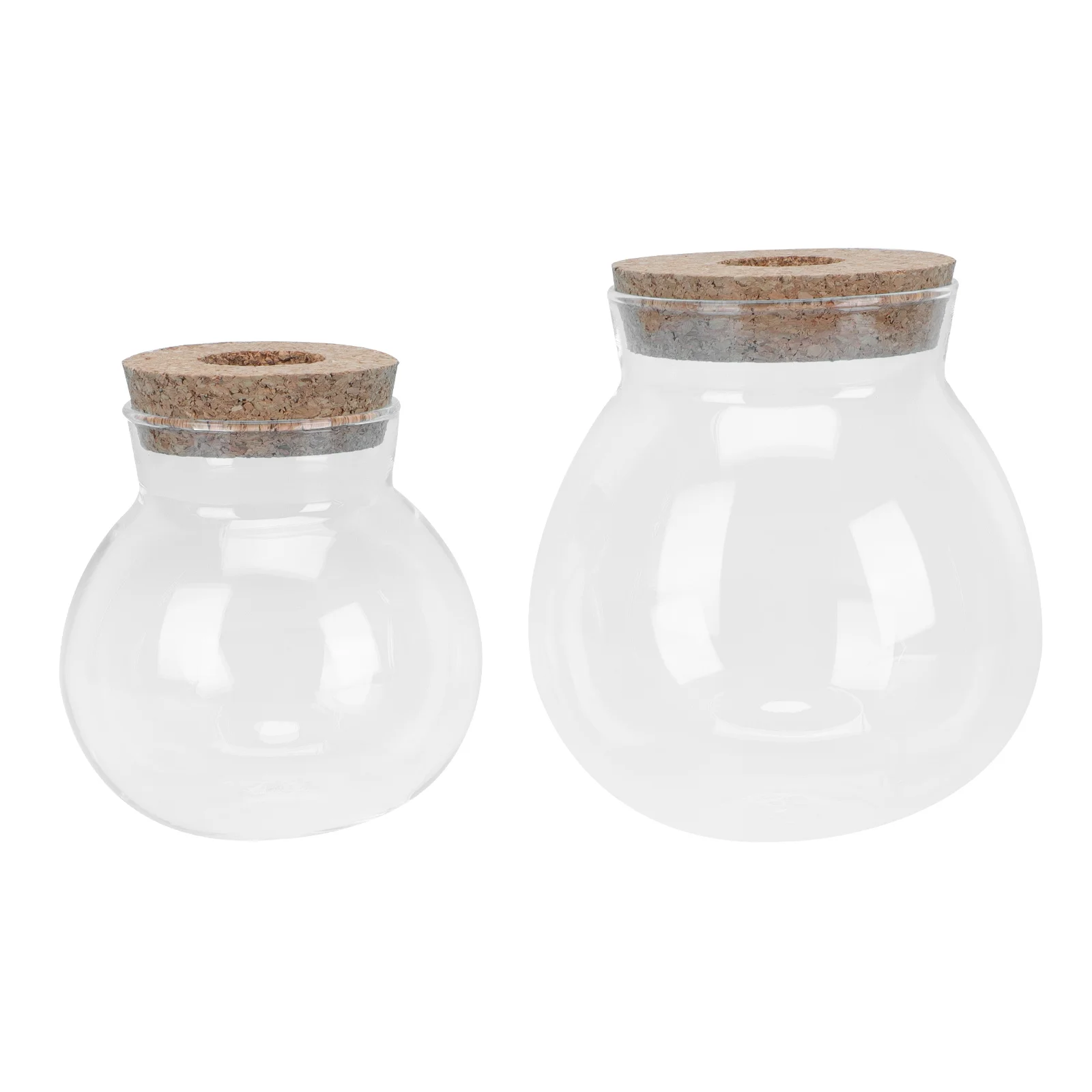 2 Pcs Ornament Holder Hydroponic Planter Message Bottles Decor Glass Vase Decorate Clear Vials Decorative Glass Bottle
2 Pcs Ornament Holder Hydroponic Planter Message Bottles Decor Glass Vase Decorate Clear Vials Decorative Glass Bottle