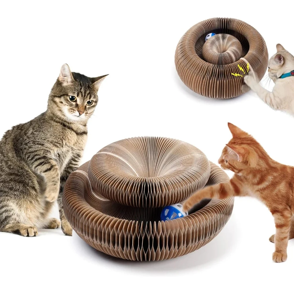 Magic Organ Cat Scratching Board-with a Toy Bell, Interactive Scratcher Cat Toy, Cat Grinding Claw Scratching Board, Foldable
Magic Organ Cat Scratching Board-with a Toy Bell, Interactive Scratcher Cat Toy, Cat Grinding Claw Scratching Board, Foldable