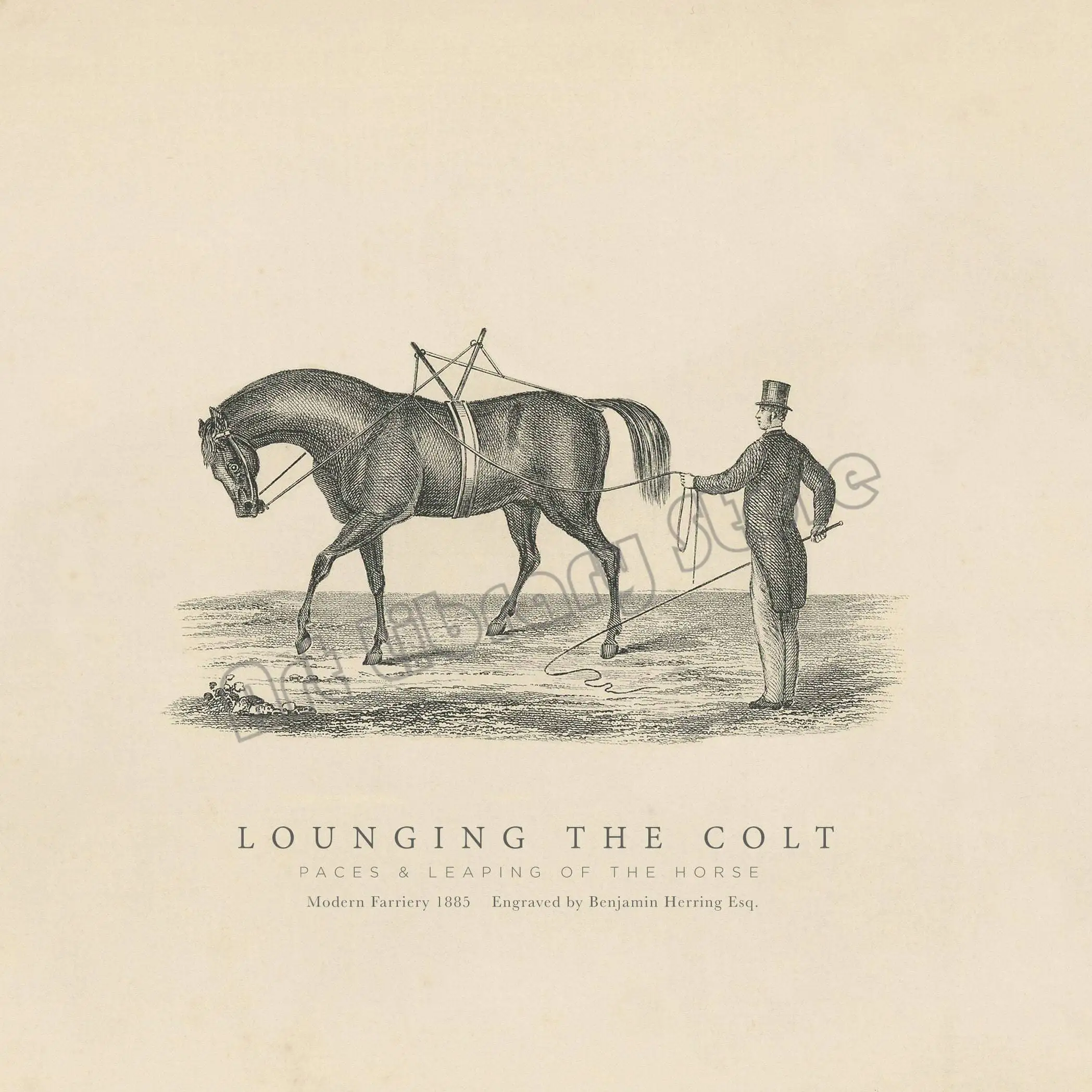 Картина "Конная гонка", печать на холсте
Картина "Конная гонка", печать на холсте