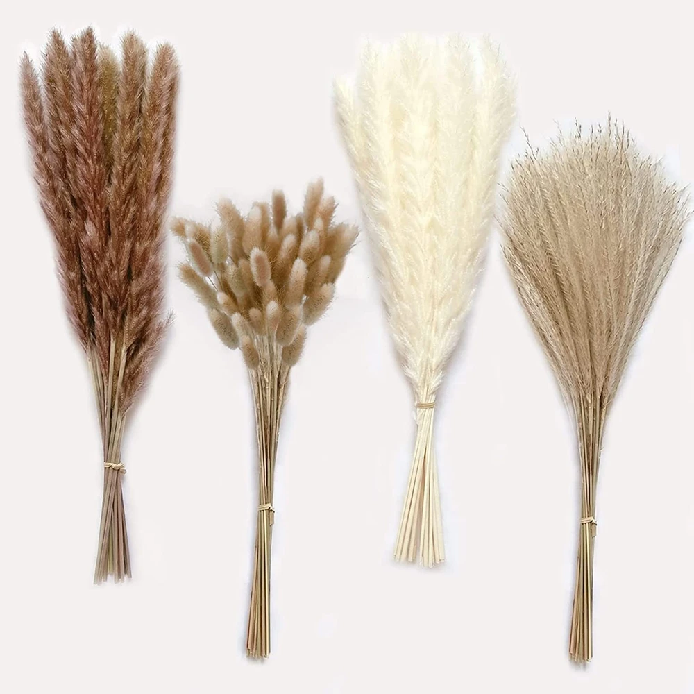 Dried Pampas for Decoration Fluffy Natural Tall Pampas Set 30-100Pcs Small Reed Dried Flowers Bouquet Boho Home Ramadan Decor
Dried Pampas for Decoration Fluffy Natural Tall Pampas Set 30-100Pcs Small Reed Dried Flowers Bouquet Boho Home Ramadan Decor