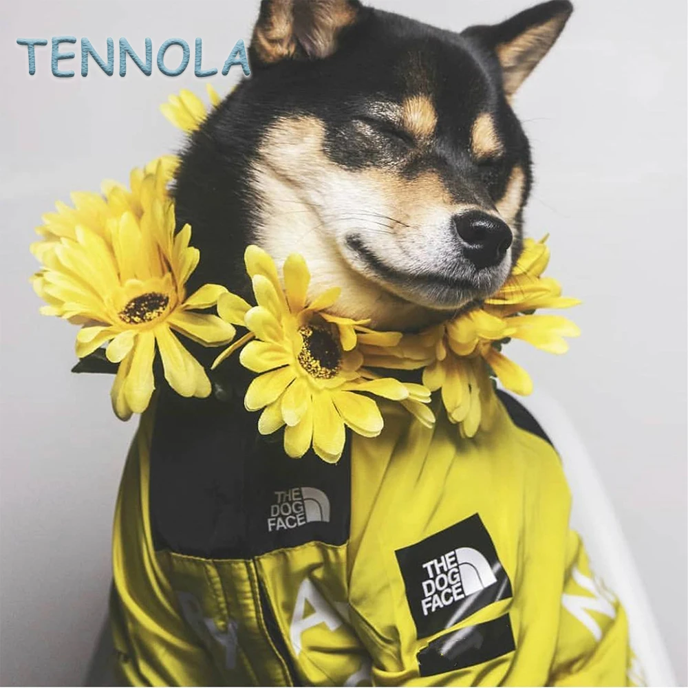 S-5XL Dog Face Jacket Windproof Waterproof Raincoat Dog Clothes For Small Big Dogs French Bulldog Hoodie Dog Coat New Fashion
S-5XL Dog Face Jacket Windproof Waterproof Raincoat Dog Clothes For Small Big Dogs French Bulldog Hoodie Dog Coat New Fashion