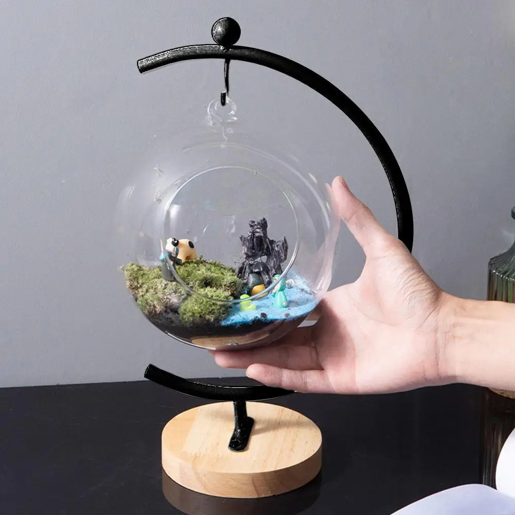 Hydroponic Plant Transparent Vase Frame Iron Vase Decoration Glass Tabletop Plant Bonsai Decor For Diy Gifts Home K1u9
Hydroponic Plant Transparent Vase Frame Iron Vase Decoration Glass Tabletop Plant Bonsai Decor For Diy Gifts Home K1u9