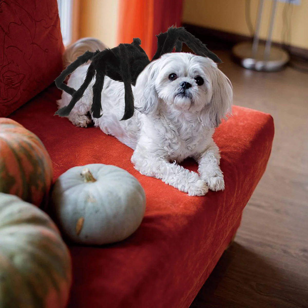 Dog Halloween Costumespider Costumes Dogs Pet Cat Outfit Clothes Cosplaychristmas Large Puppy Pyjamas Customes Pug Apparel
Dog Halloween Costumespider Costumes Dogs Pet Cat Outfit Clothes Cosplaychristmas Large Puppy Pyjamas Customes Pug Apparel