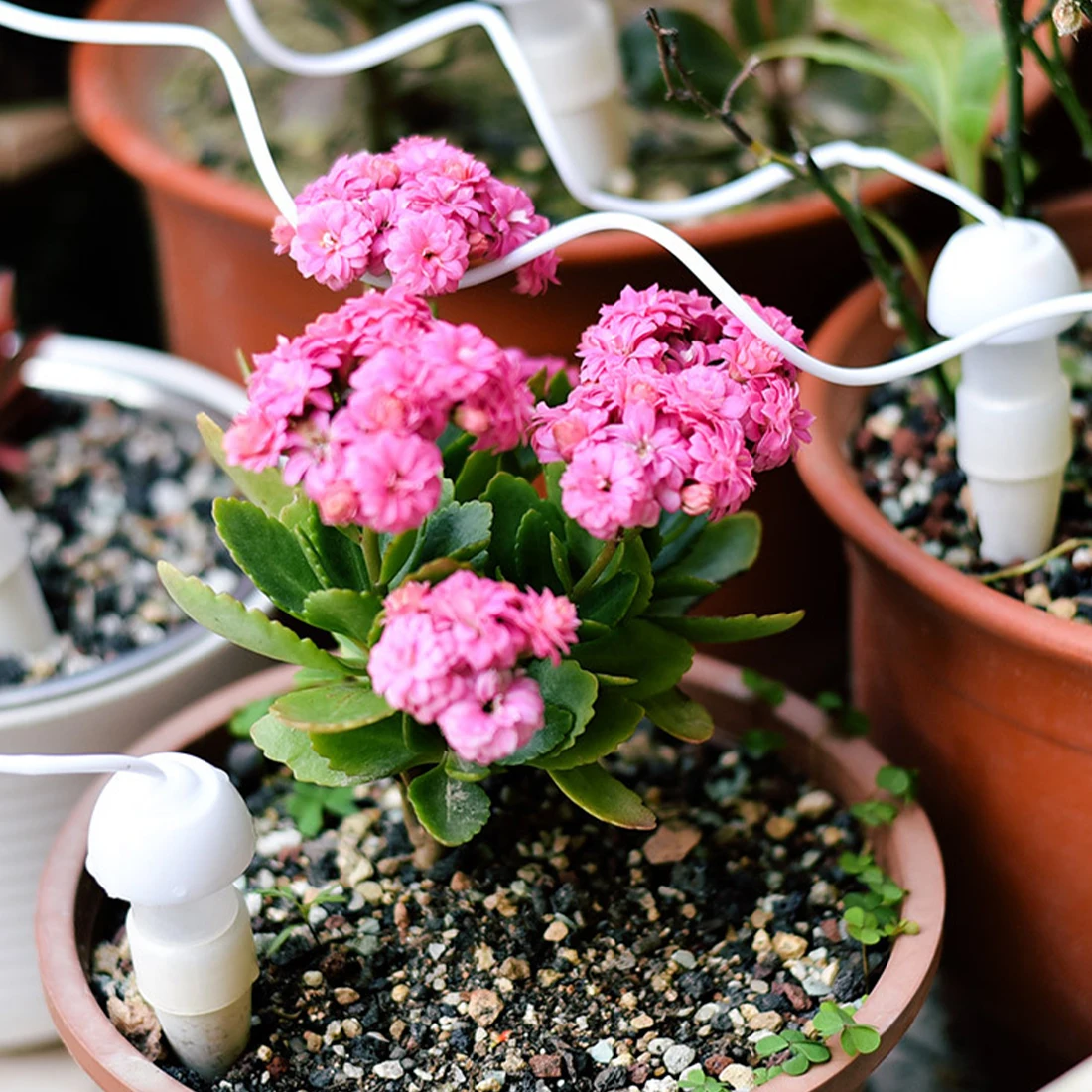 Automatic Watering Device Ceramic Self-Watering Dripper Flower Pot Root Deep Drip Irrigation Tool Bonsai Plants Watering Supplie
Automatic Watering Device Ceramic Self-Watering Dripper Flower Pot Root Deep Drip Irrigation Tool Bonsai Plants Watering Supplie