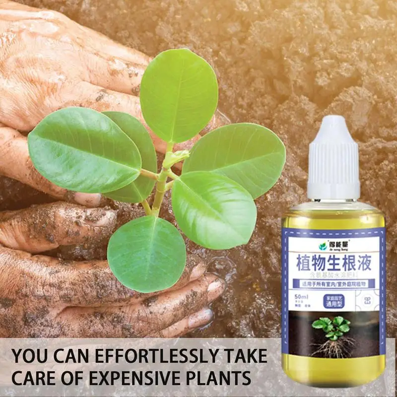 50ml Plant Root Enhancer Plant Supplement for Flower Promotes Rooting Plant Root Booster Root Enhancer Supplement for Transplant
50ml Plant Root Enhancer Plant Supplement for Flower Promotes Rooting Plant Root Booster Root Enhancer Supplement for Transplant