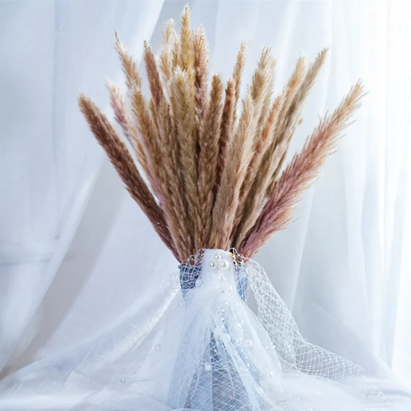 

Primary Color White Small Pampas Dry Flower Bouquet Real Flores For Bedroom, Living Room Home Wedding Decoration Reed Grass