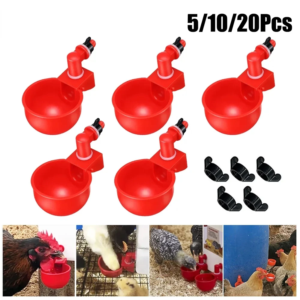 Chicken Water Bowl Poultry Automatic Drinking Bowl Automatic Chicken Water Dispenser Chicken Drinking Cup
Chicken Water Bowl Poultry Automatic Drinking Bowl Automatic Chicken Water Dispenser Chicken Drinking Cup