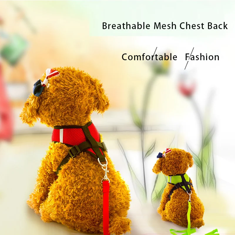 Adjustable Pet Lead Leash Dog Collar Harness Breathable Soft Mesh Harness For Dog Walking Running Leading Vest Type Pet Supplies
Adjustable Pet Lead Leash Dog Collar Harness Breathable Soft Mesh Harness For Dog Walking Running Leading Vest Type Pet Supplies