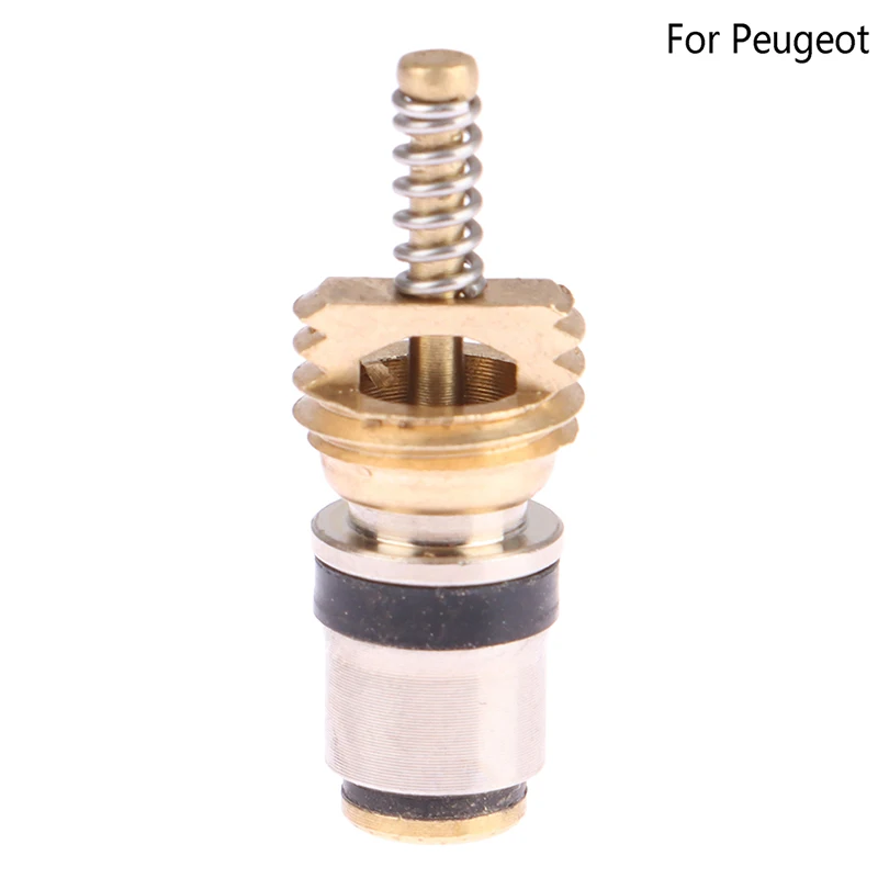 Air Conditioning Charge Cold Medium Interface Valve Core For Air Conditioner Valve Core
Air Conditioning Charge Cold Medium Interface Valve Core For Air Conditioner Valve Core