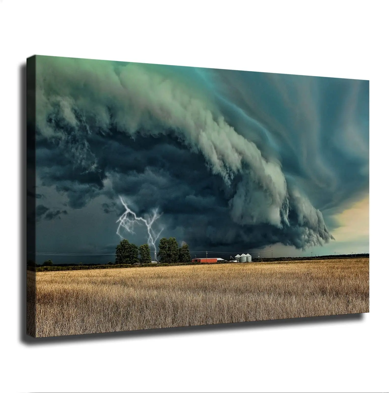 Декоративный постер «Торнадо» без рамки, винтажная забавная Фреска в стиле дикой природы, тяжелой погоды, Декор для дома
Декоративный постер «Торнадо» без рамки, винтажная забавная Фреска в стиле дикой природы, тяжелой погоды, Декор для дома