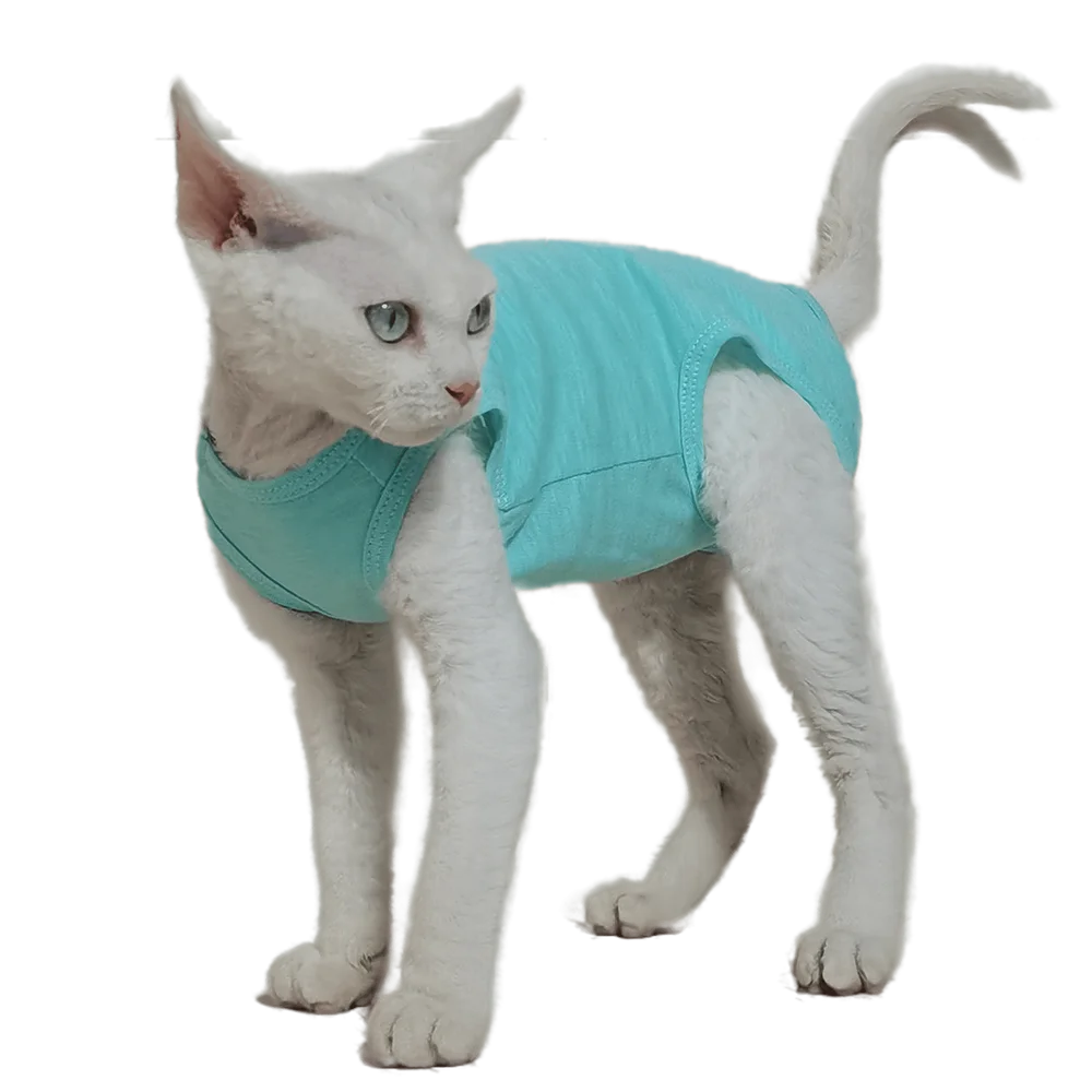 Summer Thin Vest T-shirt Sphynx Clothing Cotton Breathable Sphinx Cat Costume Devon Rex Clothes Hairless Cat Outfit
Summer Thin Vest T-shirt Sphynx Clothing Cotton Breathable Sphinx Cat Costume Devon Rex Clothes Hairless Cat Outfit