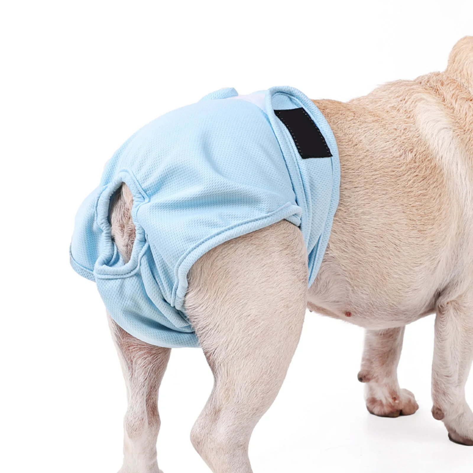 2 Pack Female Dog Diapers Reusable Washable Dog Pants for Menstrual Care Avoid Anti-Harassment
2 Pack Female Dog Diapers Reusable Washable Dog Pants for Menstrual Care Avoid Anti-Harassment