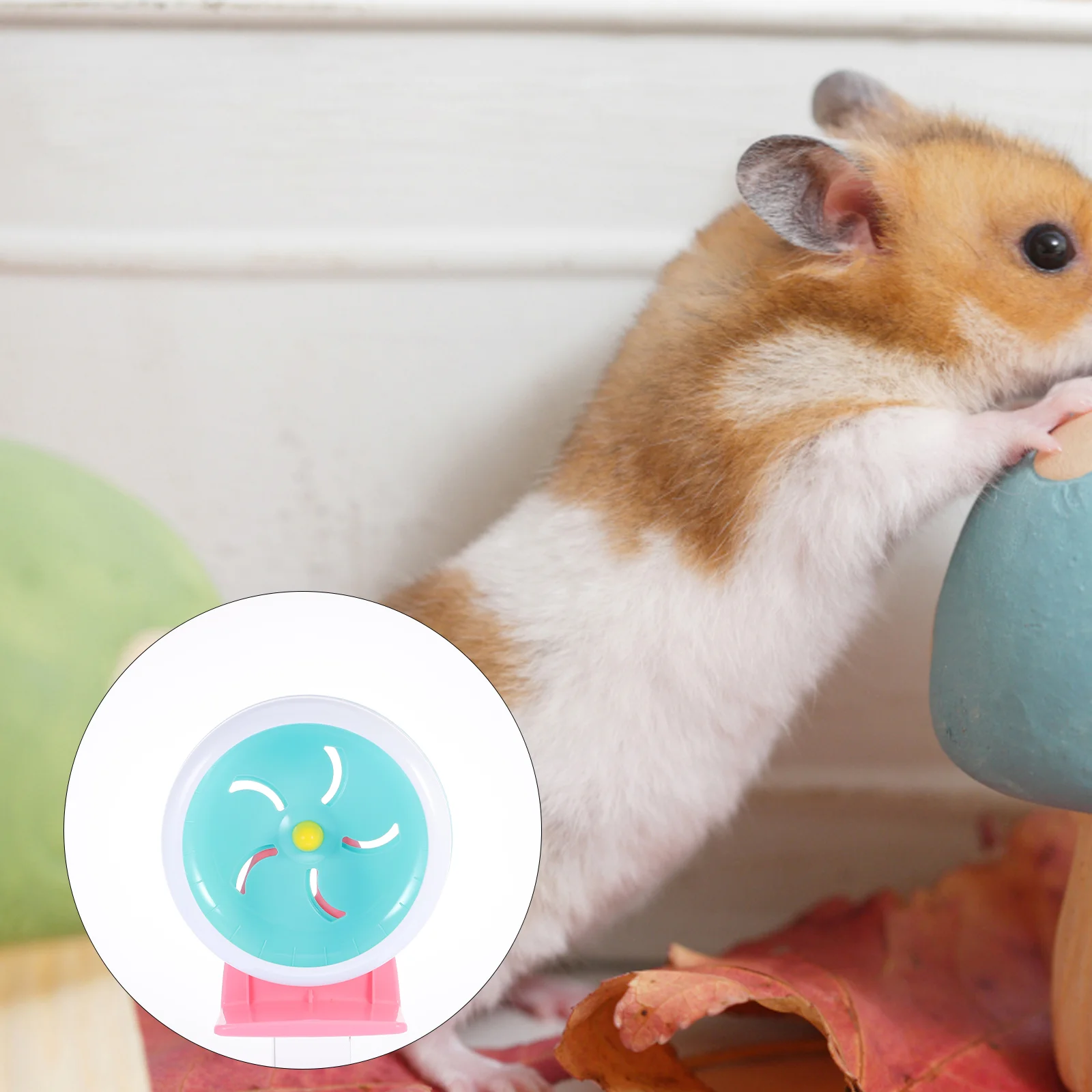 Wheel Hamster Pet Exercise Silentrunning Jogging Smallplastic Animal Rat Wheels Minilarge Plaything Pets Saucer Runabout
Wheel Hamster Pet Exercise Silentrunning Jogging Smallplastic Animal Rat Wheels Minilarge Plaything Pets Saucer Runabout