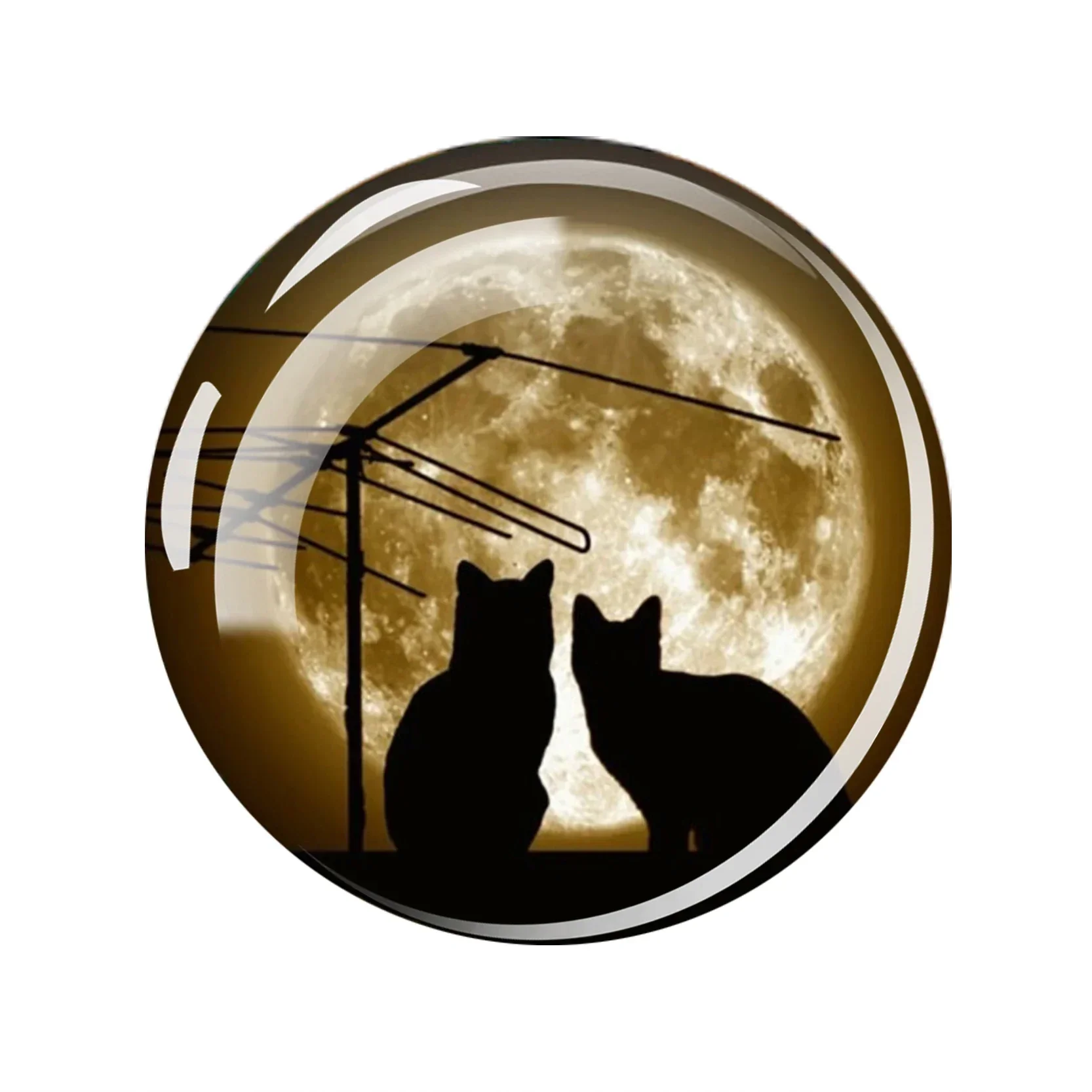 Магниты на холодильник черные кошки
Магниты на холодильник черные кошки