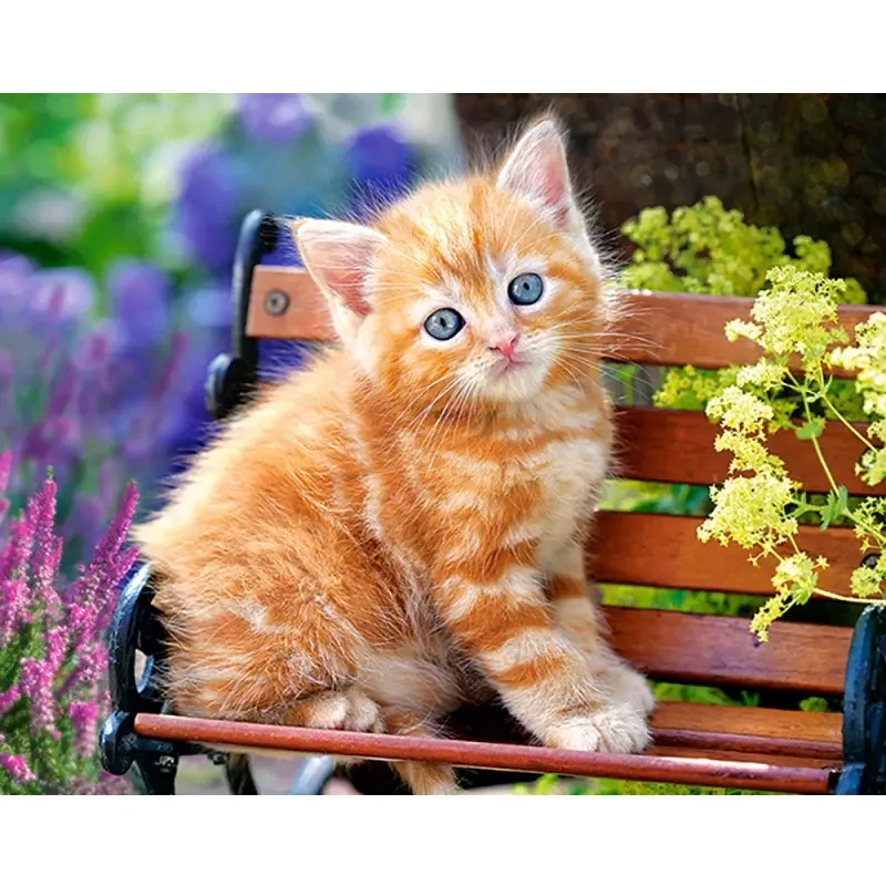 Cute Cat 5D Diamond Painting Artificial Diamond Embroidery DIY Handmade Diamond Inlay and Mosaic Art Home Decoration
Cute Cat 5D Diamond Painting Artificial Diamond Embroidery DIY Handmade Diamond Inlay and Mosaic Art Home Decoration