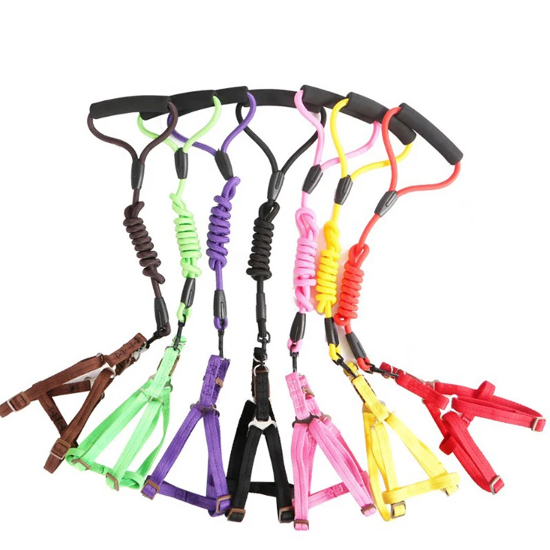 3pcs Nylon Pet Chest Strap Collar Leash Set Pet Cat Leash Pet Dog Cat Collar Leash Teddy Golden Retriever Chest Harness Leash
3pcs Nylon Pet Chest Strap Collar Leash Set Pet Cat Leash Pet Dog Cat Collar Leash Teddy Golden Retriever Chest Harness Leash