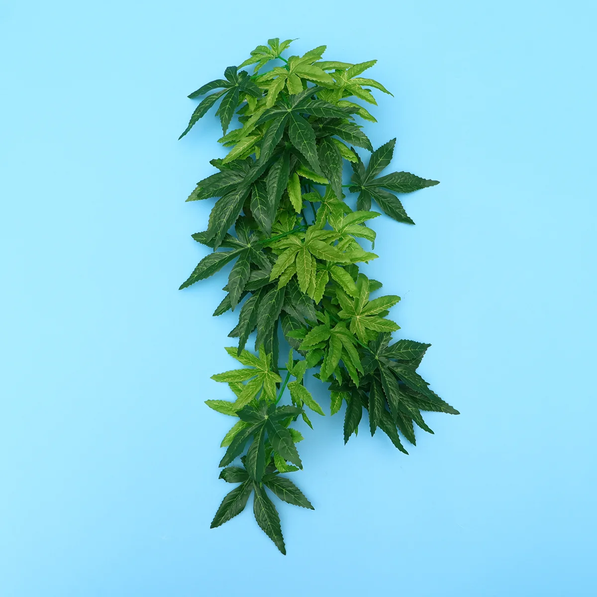 Reptiletank Aquarium Terrarium Plantfake Decorationsaccessories Decor Rattan Dragon Bearded Leaves Simulation Vines Habitat Live
Reptiletank Aquarium Terrarium Plantfake Decorationsaccessories Decor Rattan Dragon Bearded Leaves Simulation Vines Habitat Live