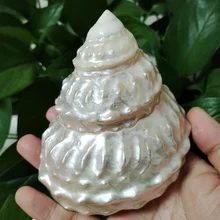 White Mother of Pearl Tower Pagoda Oyster Sea Shell Snail Luminous Big Tower Conch Landscape Gifts Specimens DIY Shellfish Tank