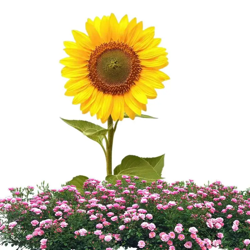 Украшение для сада Подсолнух, акриловое украшение для сада, Подсолнух, декоративное акриловое украшение для улицы, сада, лужайки 
Украшение для сада Подсолнух, акриловое украшение для сада, Подсолнух, декоративное акриловое украшение для улицы, сада, лужайки