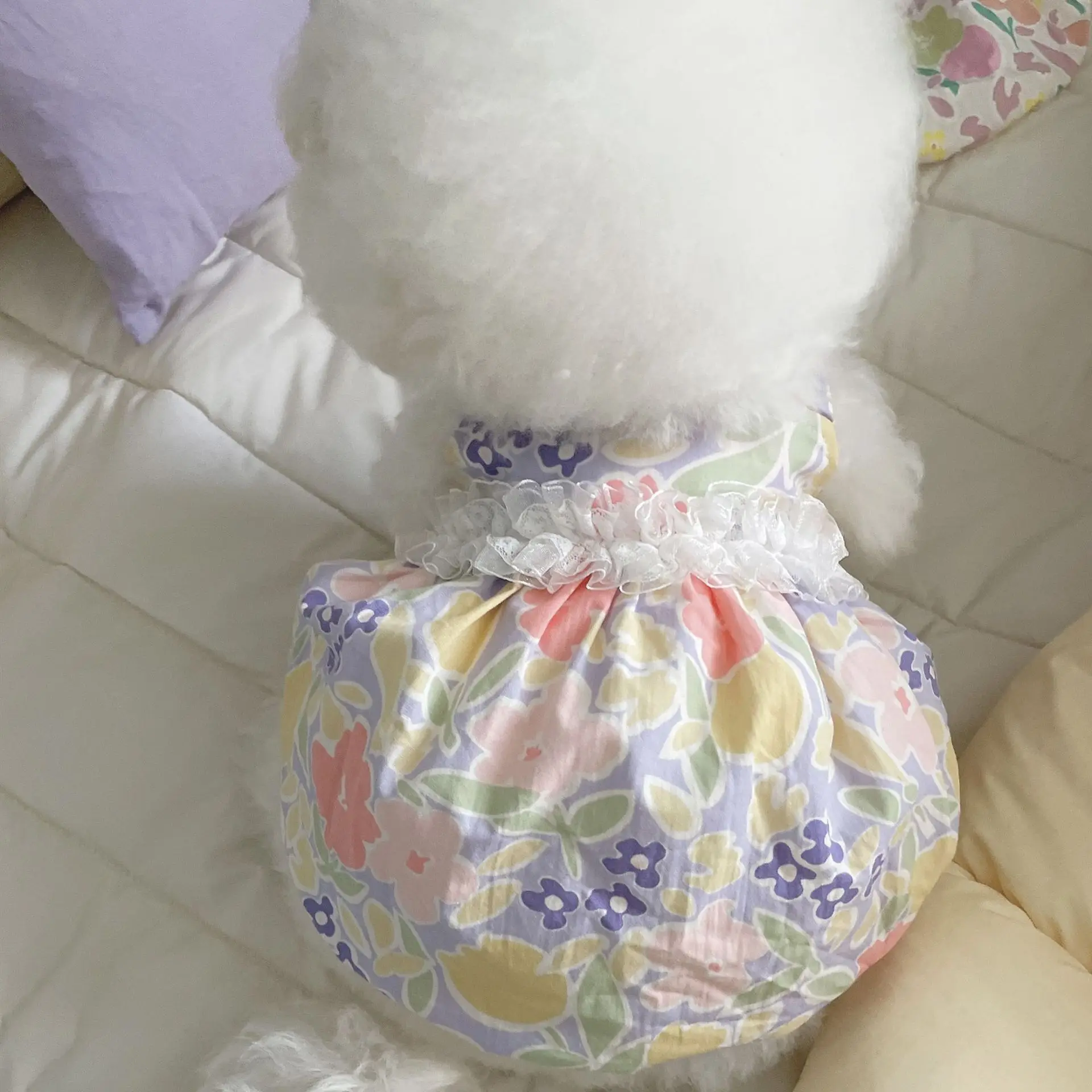 INS Summer Pet Clothes Dress Macaron Lace Bubble Skirt Dog Bichon Teddy Pet Dog Cat Pet Skirt Red Breathable Girl Boy Chihuahua
INS Summer Pet Clothes Dress Macaron Lace Bubble Skirt Dog Bichon Teddy Pet Dog Cat Pet Skirt Red Breathable Girl Boy Chihuahua