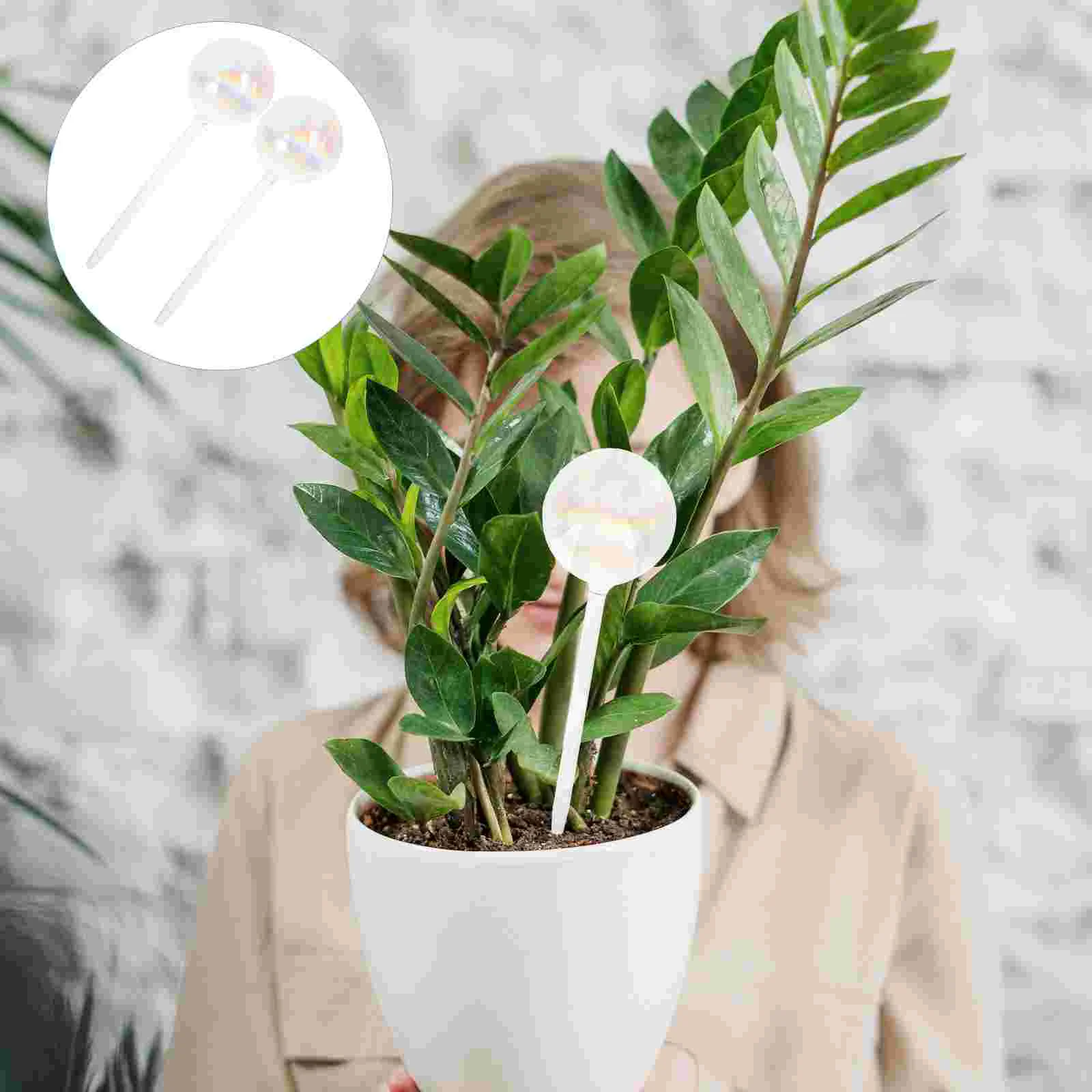 2 Pcs Clear Light Bulbs Watering Globes Garden Automatic Drip Irrigation Spikes Planters Indoor Plants Glass Device
2 Pcs Clear Light Bulbs Watering Globes Garden Automatic Drip Irrigation Spikes Planters Indoor Plants Glass Device