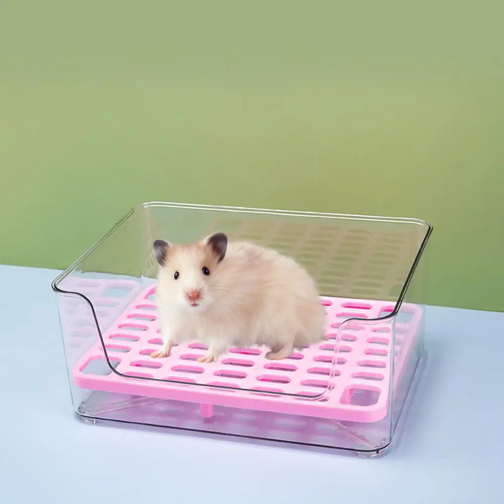Transparent Rabbit Toilet Removable Mesh Design Litter Box Potty Trainer ( Random Color Mat )
Transparent Rabbit Toilet Removable Mesh Design Litter Box Potty Trainer ( Random Color Mat )