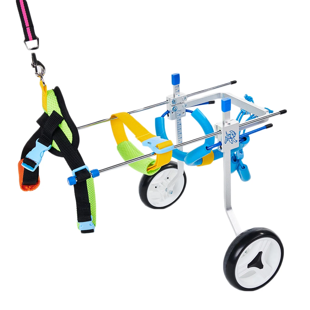 Pet Wheelchairs Dog Rehabilitation Cart Scooter Leg Disabled Aiding Vehicle Paralyzed Outdoor/Indoor Dogs Scooters
Pet Wheelchairs Dog Rehabilitation Cart Scooter Leg Disabled Aiding Vehicle Paralyzed Outdoor/Indoor Dogs Scooters