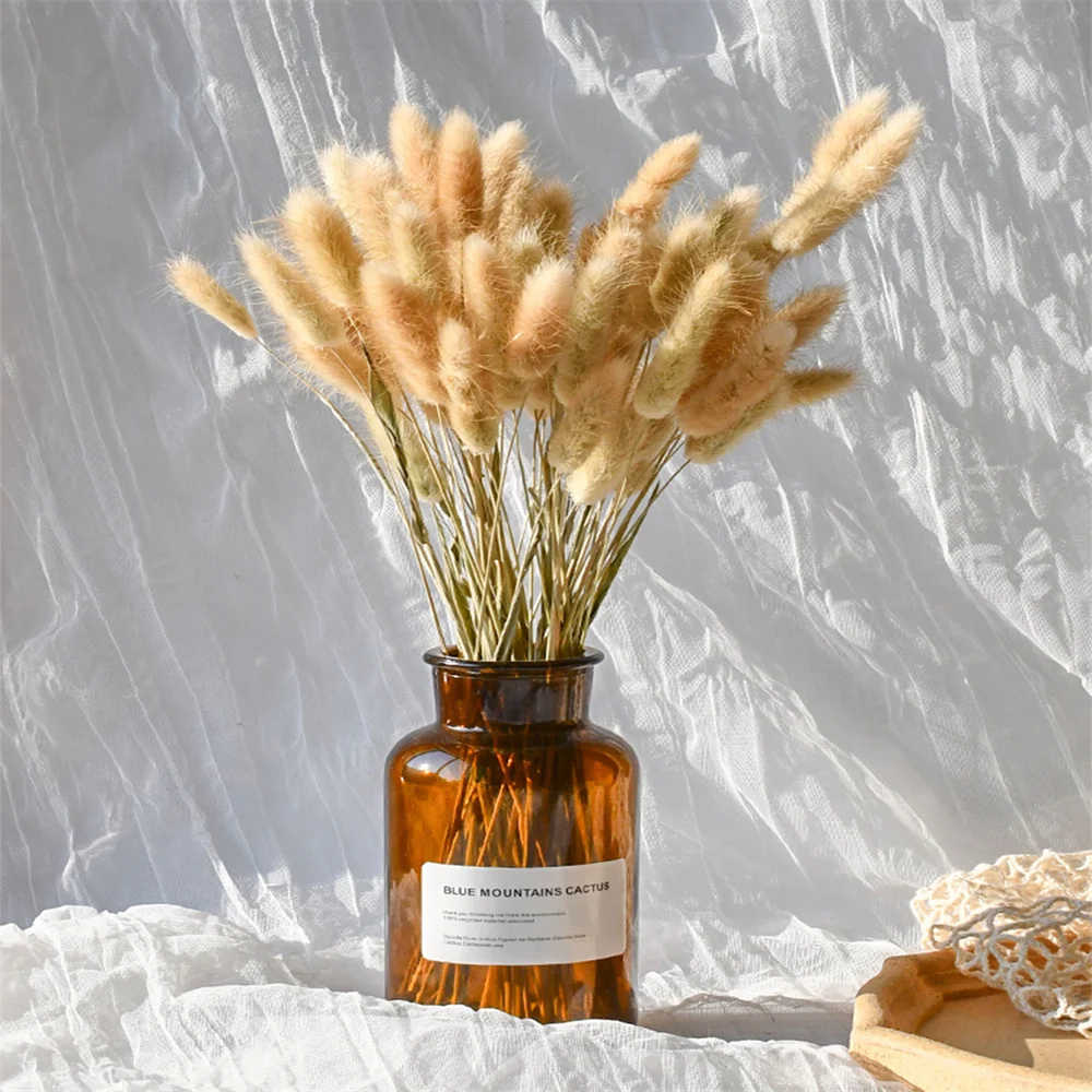 Bunny Rabbit Tail Grass Natural Dried Flowers Bunch Real Bouquet Wedding Festival Party Decoration Boho Nordic Home Decor
Bunny Rabbit Tail Grass Natural Dried Flowers Bunch Real Bouquet Wedding Festival Party Decoration Boho Nordic Home Decor