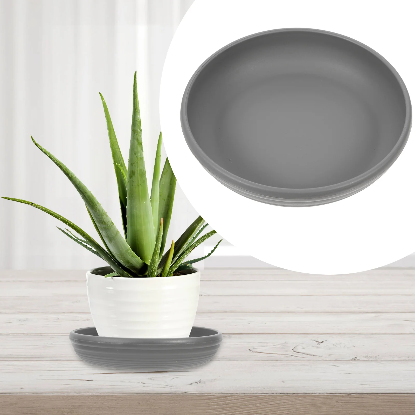 Pot Flowertray Saucer Saucers Base Trays Flowerpot Succulent Planter Watercontainer Holding Bottombalcony Mini Small Round
Pot Flowertray Saucer Saucers Base Trays Flowerpot Succulent Planter Watercontainer Holding Bottombalcony Mini Small Round