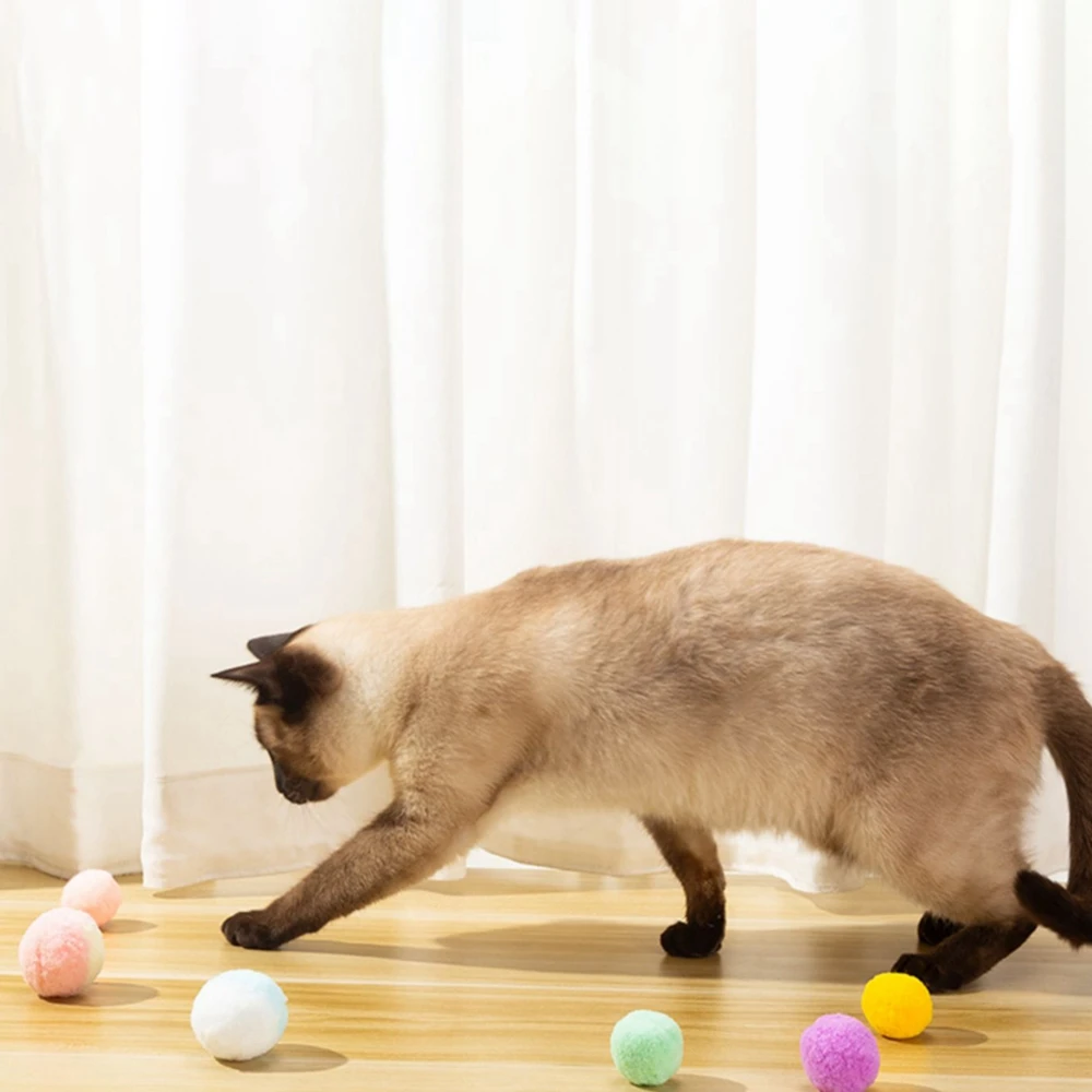Interactive Cat Toy Balls Cats to Play Soft Poms Ball Exquisite Material Wide Application Pompon Ball Toy Cats Pet Products
Interactive Cat Toy Balls Cats to Play Soft Poms Ball Exquisite Material Wide Application Pompon Ball Toy Cats Pet Products