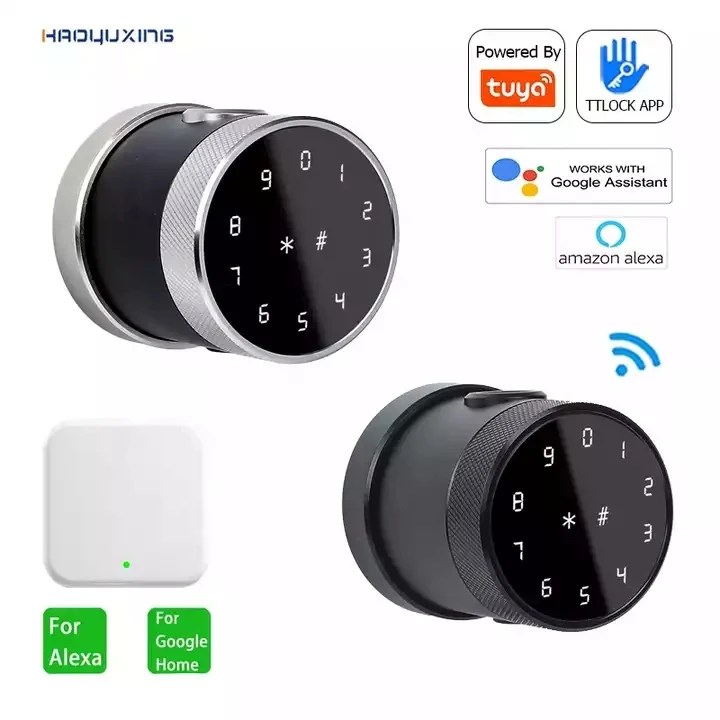 Tuya Smart Room Door Lock with Key Diary Fingerprint Management Hotel Bovos entry door Tubular Ball Knob Lock
Tuya Smart Room Door Lock with Key Diary Fingerprint Management Hotel Bovos entry door Tubular Ball Knob Lock