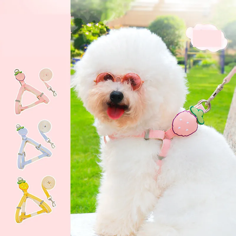 Pet Cat Dog Harness Leash Adjustable Vest Collar for Small Medium Dog Puppy Outdoor Walking Chihuahua Terier Puppy Accessories
Pet Cat Dog Harness Leash Adjustable Vest Collar for Small Medium Dog Puppy Outdoor Walking Chihuahua Terier Puppy Accessories