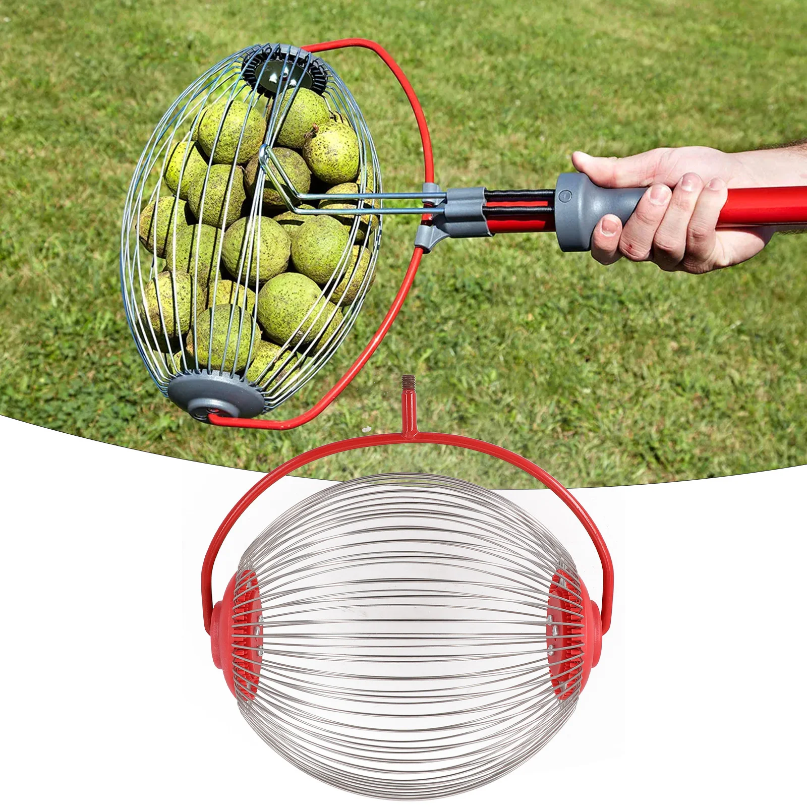 Fruit-Picker Harvester Rolling Nut Harvester Ball Picker Stainless Steel Adjustable Nut Gatherer Collect-Walnuts Pecans Crab
Fruit-Picker Harvester Rolling Nut Harvester Ball Picker Stainless Steel Adjustable Nut Gatherer Collect-Walnuts Pecans Crab