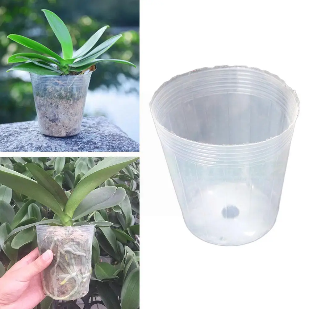 100pcs Transparent Plant Seedling Cup Succulent Orchid Pot Nursery Cup Bag Transparent Bowl Flower Nutrition Pot Nutrition X7z2
100pcs Transparent Plant Seedling Cup Succulent Orchid Pot Nursery Cup Bag Transparent Bowl Flower Nutrition Pot Nutrition X7z2