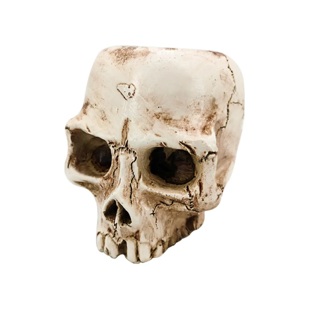 Resin Human Tooth Skull Model Desktop Flower Pot Planter Office Skeleton Craft 2024
Resin Human Tooth Skull Model Desktop Flower Pot Planter Office Skeleton Craft 2024