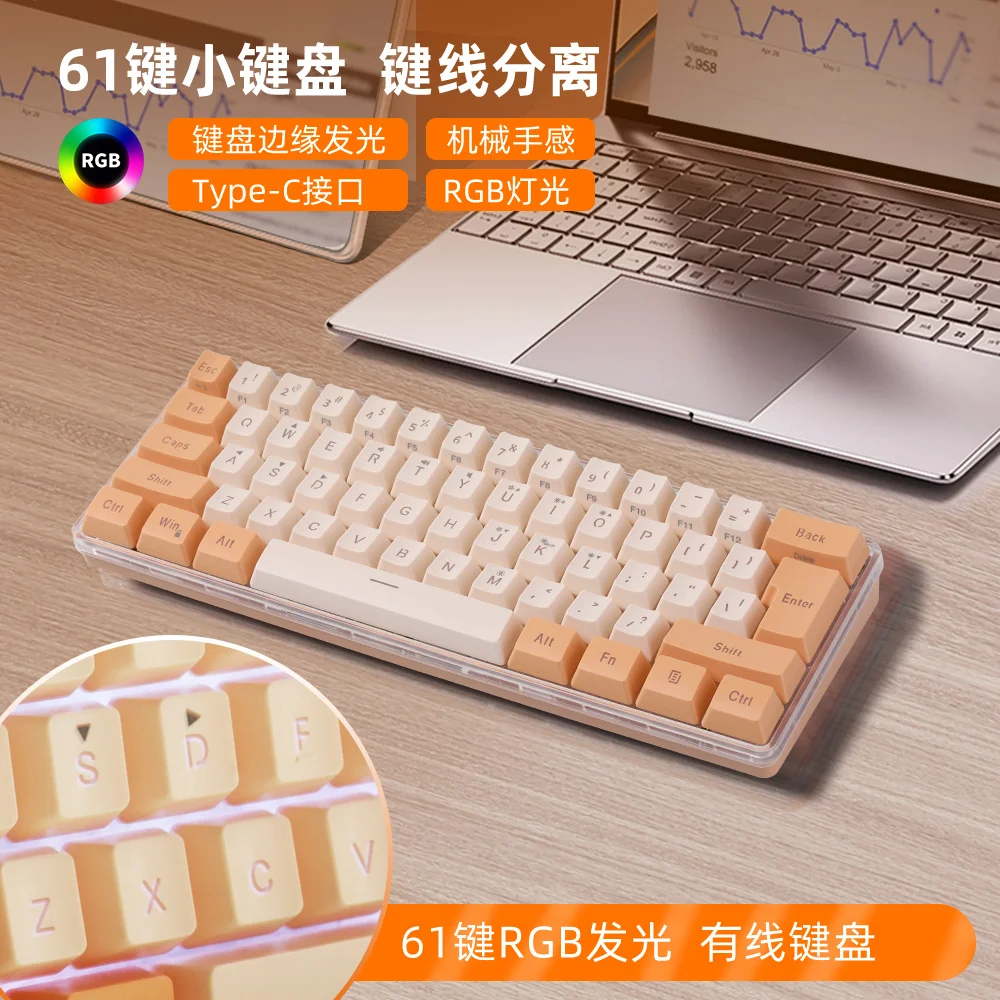 RGB USB Mechanical Game Keyboard 61 Key Wire Removable Cable Portable Game Keyboard Red Switch Keyboard
RGB USB Mechanical Game Keyboard 61 Key Wire Removable Cable Portable Game Keyboard Red Switch Keyboard
