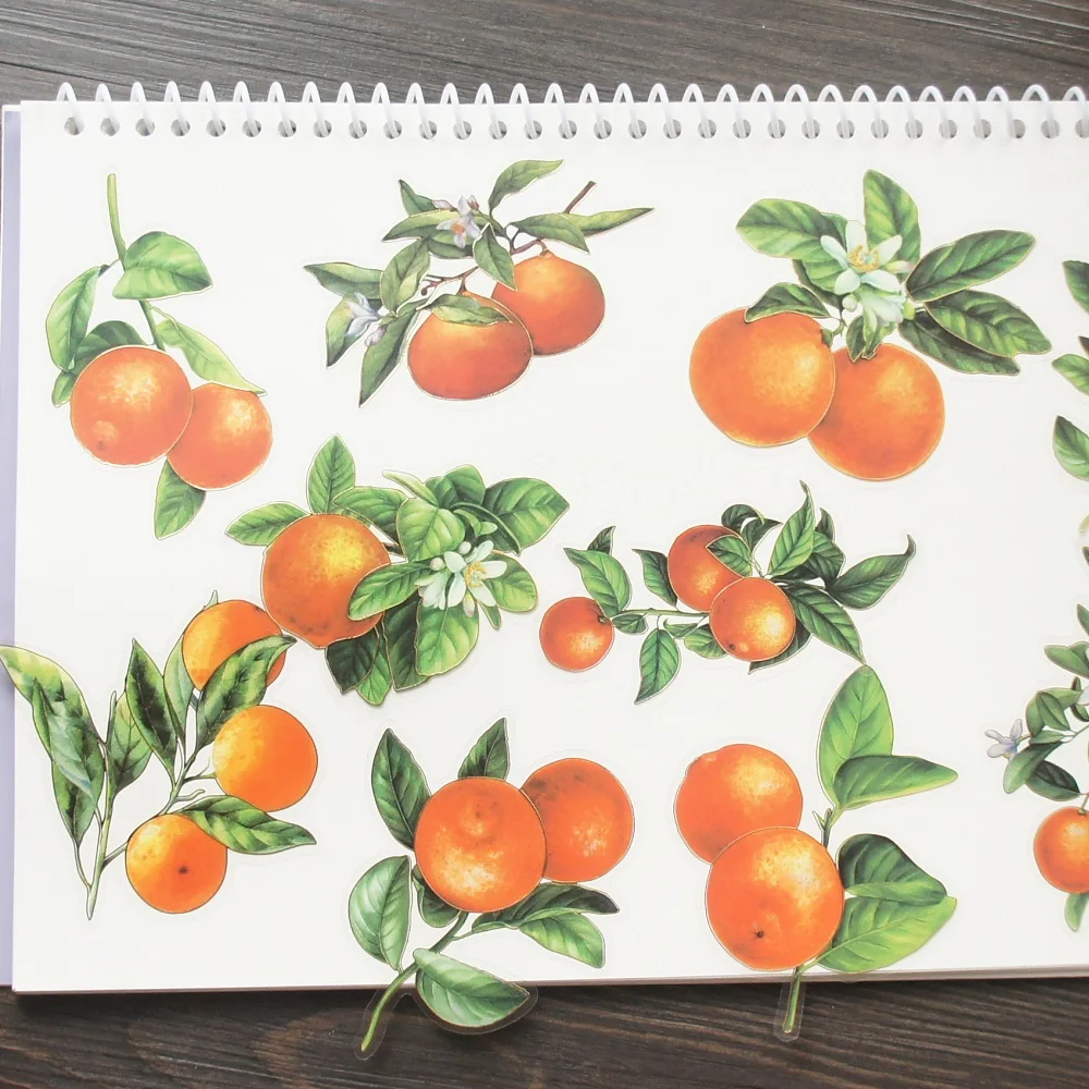 10 Pcs Big Size Gold Orange Tree In Autumn Style PVC Transparent Sticker Scrapbooking DIY Gift Decoration Tag
10 Pcs Big Size Gold Orange Tree In Autumn Style PVC Transparent Sticker Scrapbooking DIY Gift Decoration Tag