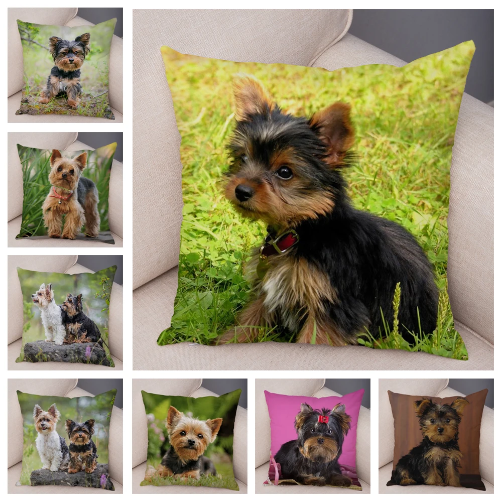 Cute Pet Mini York Pattern Printing Series Decorative Home Pillowcase Square Office Decorative Cushion Cover
Cute Pet Mini York Pattern Printing Series Decorative Home Pillowcase Square Office Decorative Cushion Cover