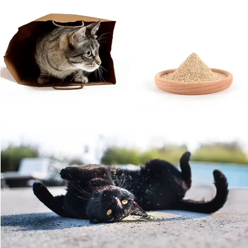 2022New Cat Spit Hair Helps Digestive Matatabi Actinidia Wood Scorpion Powder Toy Cats Snack
2022New Cat Spit Hair Helps Digestive Matatabi Actinidia Wood Scorpion Powder Toy Cats Snack