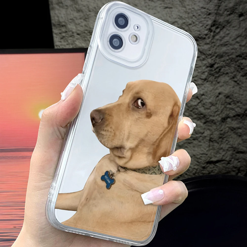 Прозрачный чехол для iPhone 14, 13, 12, 11 pro max, защита от падения и столкновений
Прозрачный чехол для iPhone 14, 13, 12, 11 pro max, защита от падения и столкновений
