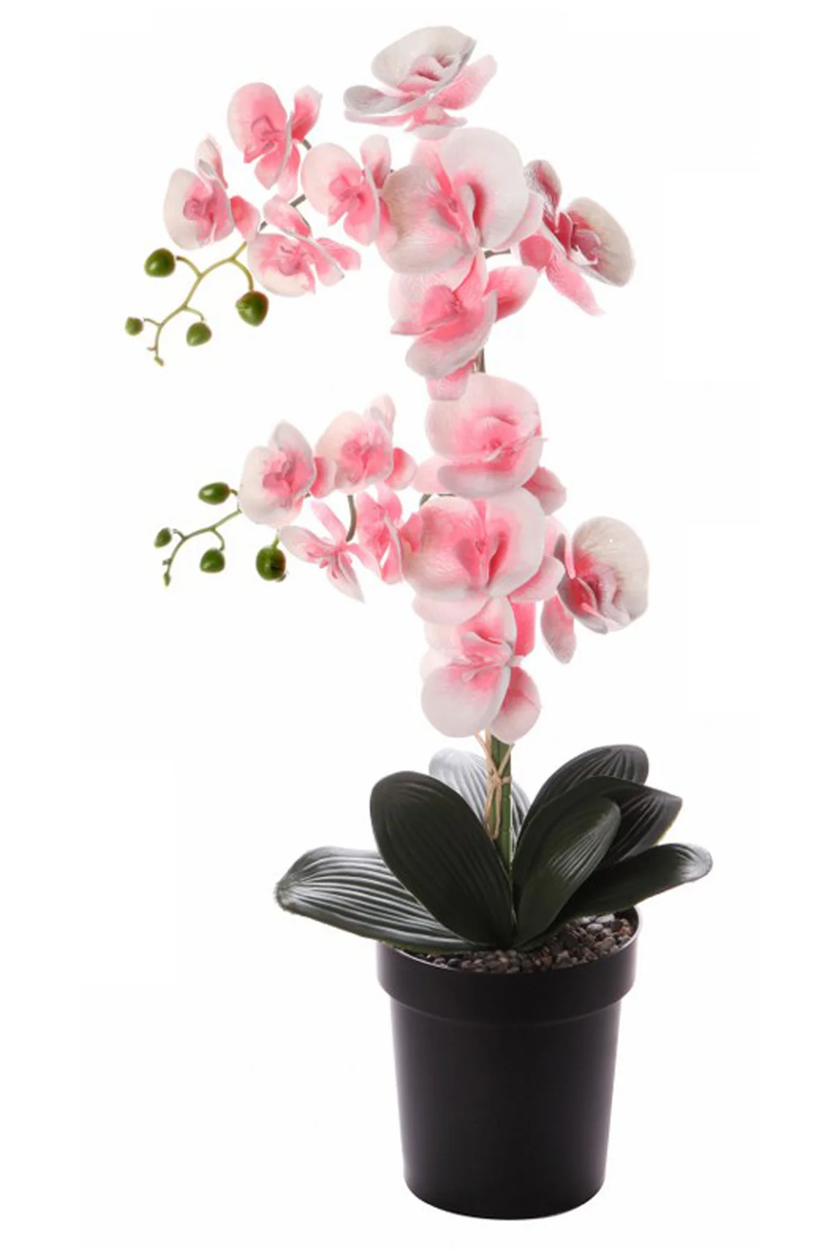 Decorative Artificial Orchid Plastic Plug Pink 64 cmAnime, Genshin Effect, Stickers, A Piece of Home Decor
Decorative Artificial Orchid Plastic Plug Pink 64 cmAnime, Genshin Effect, Stickers, A Piece of Home Decor