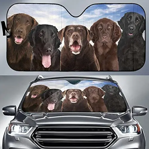 Funny Chocolate and Black Flat-Coated Retriever Family Car Sunshade, Front Window Sun Cover for Flat-Coated Retriever Lover, Car
Funny Chocolate and Black Flat-Coated Retriever Family Car Sunshade, Front Window Sun Cover for Flat-Coated Retriever Lover, Car