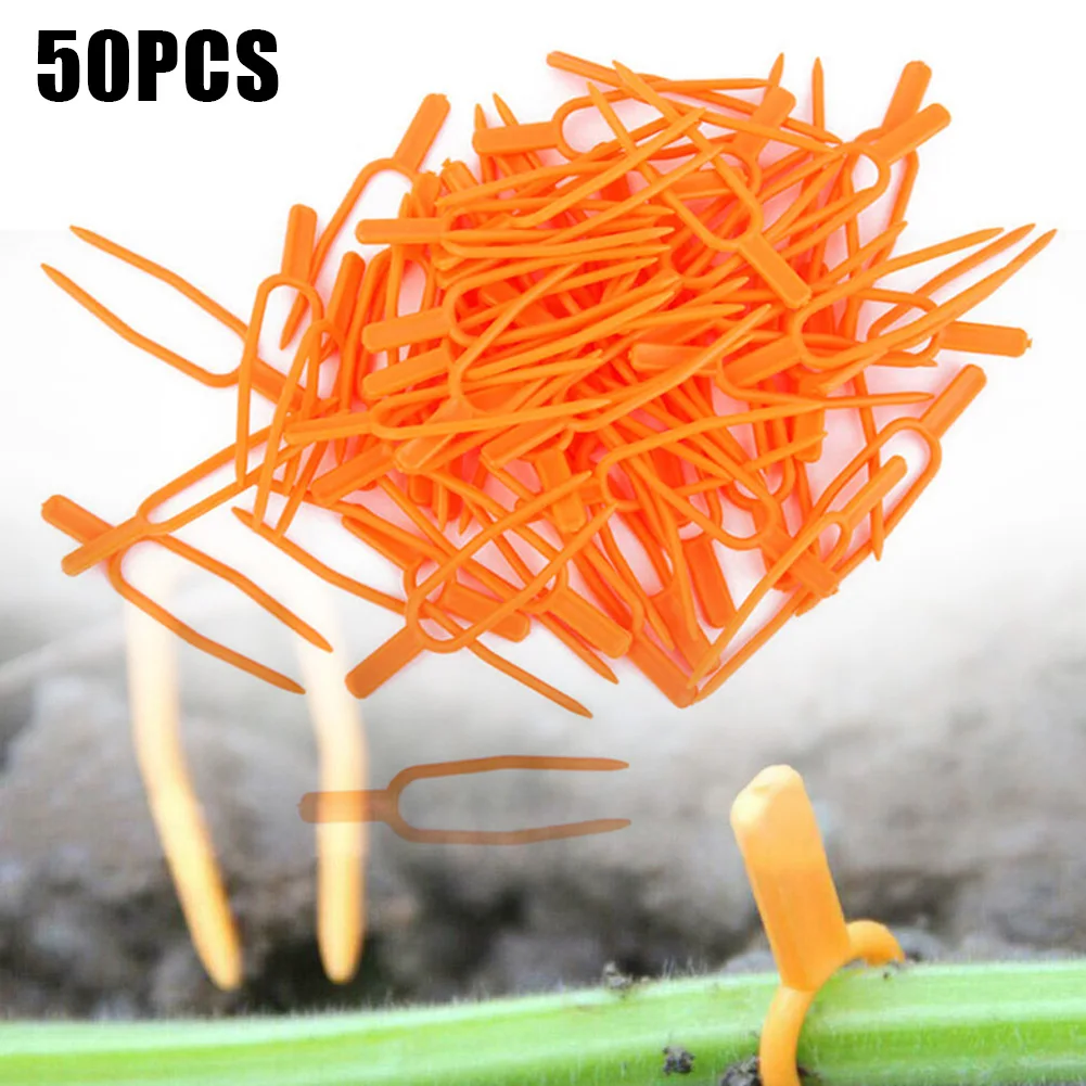 50PCS Plant Fork Clips Stem Stolon Fixator Garden Strawberry Planting Fork Watermelon Fastening Fixture Clamp Clip Plant Suppor
50PCS Plant Fork Clips Stem Stolon Fixator Garden Strawberry Planting Fork Watermelon Fastening Fixture Clamp Clip Plant Suppor