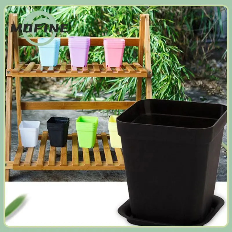 10PCS Gardening Mini Plastic Flower Pots+Plastic Tray Vase Square Flower Bonsai Planter Nursery Pots Garden Supplies GHMY
10PCS Gardening Mini Plastic Flower Pots+Plastic Tray Vase Square Flower Bonsai Planter Nursery Pots Garden Supplies GHMY