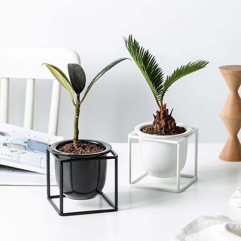 NEW Creative Nordic Succulent Plant Flower Pot Wrought Iron Ceramic Planter Pot Small Green Plant Flowerpot Home Garden Decor
NEW Creative Nordic Succulent Plant Flower Pot Wrought Iron Ceramic Planter Pot Small Green Plant Flowerpot Home Garden Decor