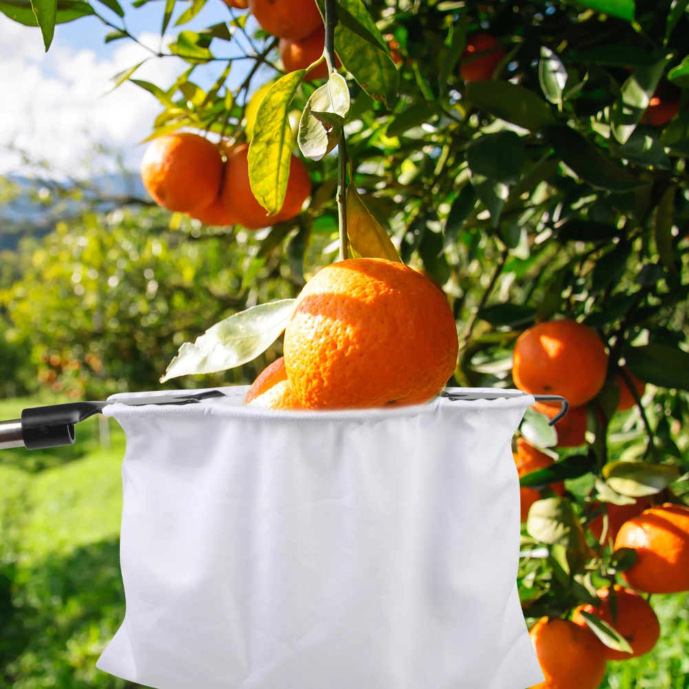 Metal Fruit Picker Orchard Gardening Apple Peach High Tree Picking Tools Fruit Catcher with 2 V-Shaped Blades Gardening Tools
Metal Fruit Picker Orchard Gardening Apple Peach High Tree Picking Tools Fruit Catcher with 2 V-Shaped Blades Gardening Tools