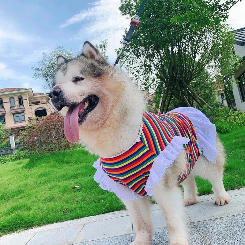 Spring, Summer, The New Large Dog Clothes Breathable Rainbow Princess Dress Alaska Two Teddy Cat Your Golden Retriever Clothes
Spring, Summer, The New Large Dog Clothes Breathable Rainbow Princess Dress Alaska Two Teddy Cat Your Golden Retriever Clothes